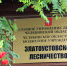 Щепки летят. Златоустовское лесничество попало под ликвидацию - Златоустовский рабочий